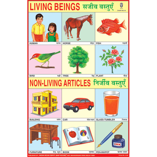 Living & Non-Living Articles Chart Paper (24 x 36 CMS)
